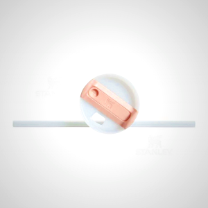 Stanley The Clean Slate Quencher H2.0 FlowStateâ„¢ 30 OZ | India_S1767