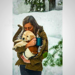 Stanley Titanium Camp Mug 12 oz - Durable Vacuum Insulated Travel Mug for Outdoor Adventures